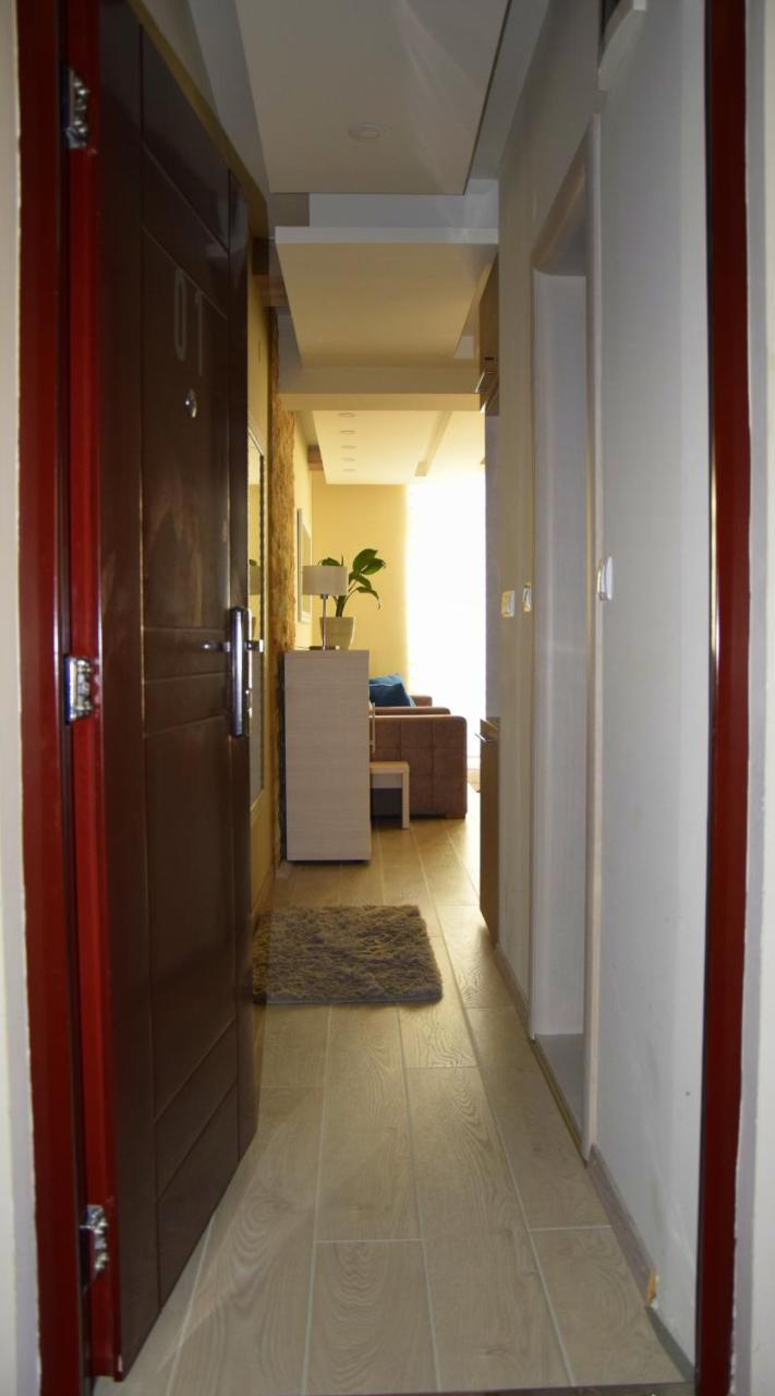 Lux Apartman B1 Milmari 科帕奥尼克 外观 照片