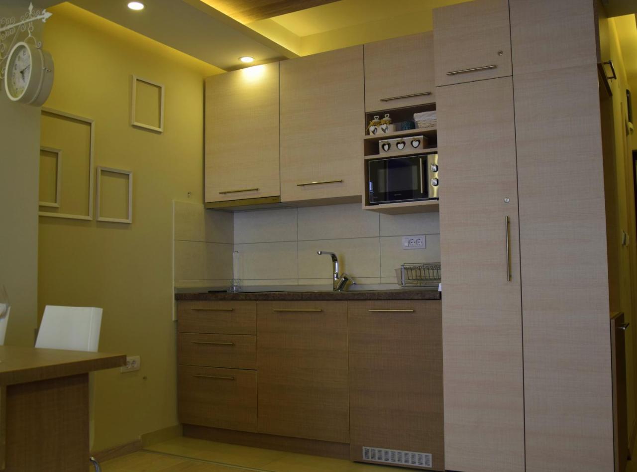 Lux Apartman B1 Milmari 科帕奥尼克 外观 照片